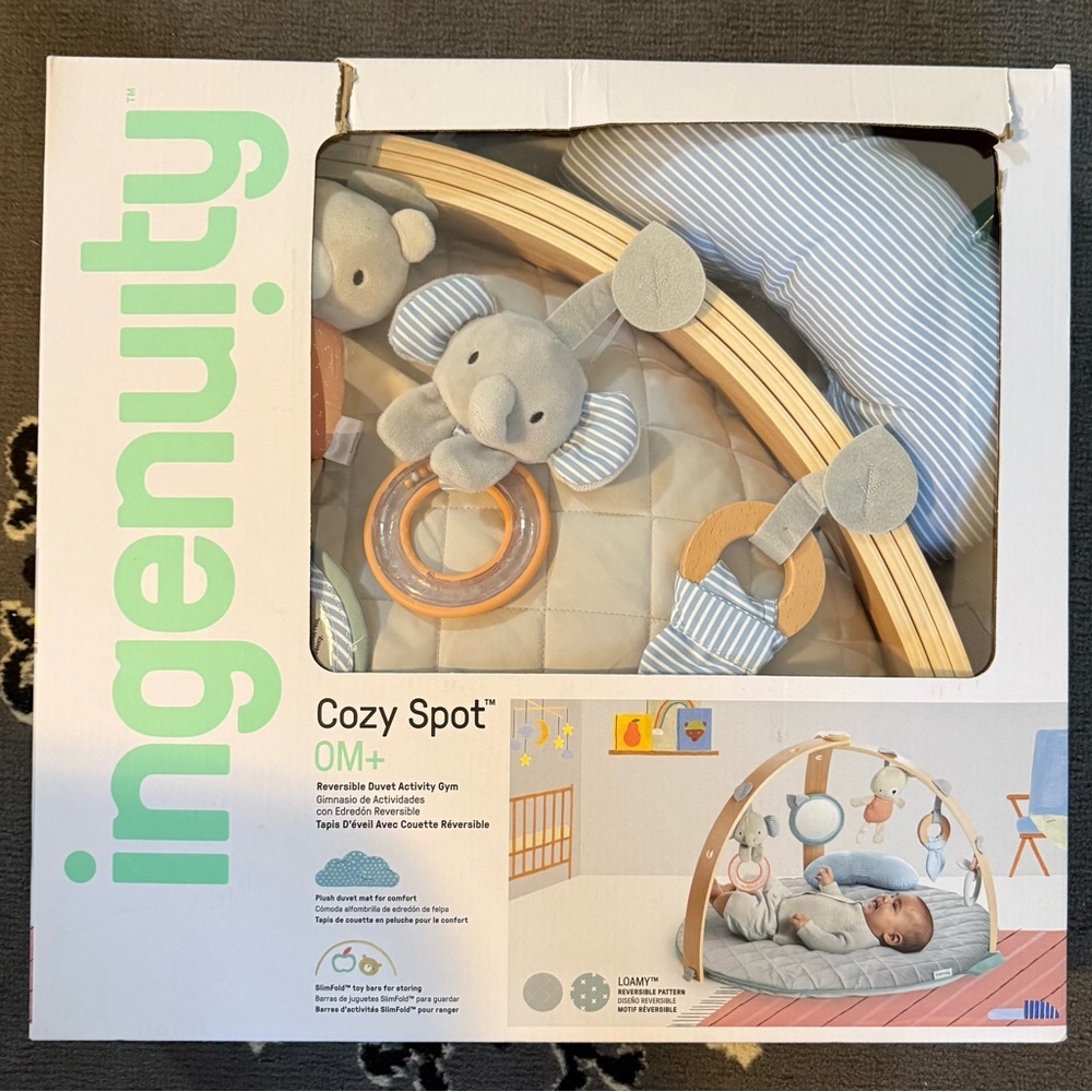 Ingenious Playtime Activity Gym - Gray and Blue
